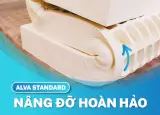 NỆM CAO SU THIÊN NHIÊN ALVA STANDARD