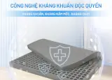NỆM CAO SU THIÊN NHIÊN ALVA LUXURY