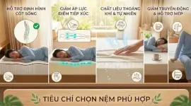 Các tiêu chí chọn nệm phù hợp