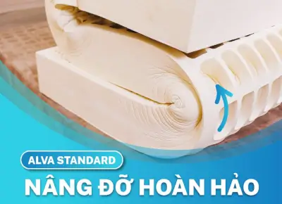 NỆM CAO SU THIÊN NHIÊN ALVA STANDARD