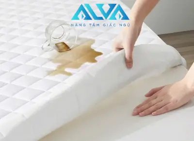 BẢO VỆ NỆM CAO CẤP CHỐNG THẤM ALVA PREMIUM