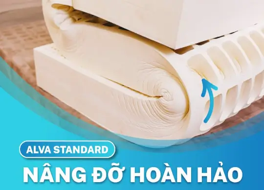 NỆM CAO SU THIÊN NHIÊN ALVA STANDARD