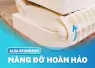NỆM CAO SU THIÊN NHIÊN ALVA STANDARD